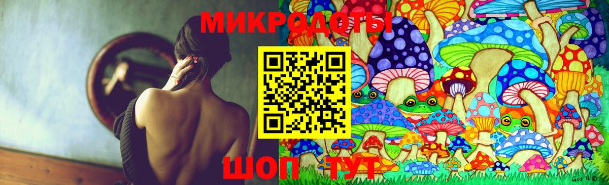 Кизляр  Псилоцибиновые грибы Psilocybine cubensis  Вход с VPN 