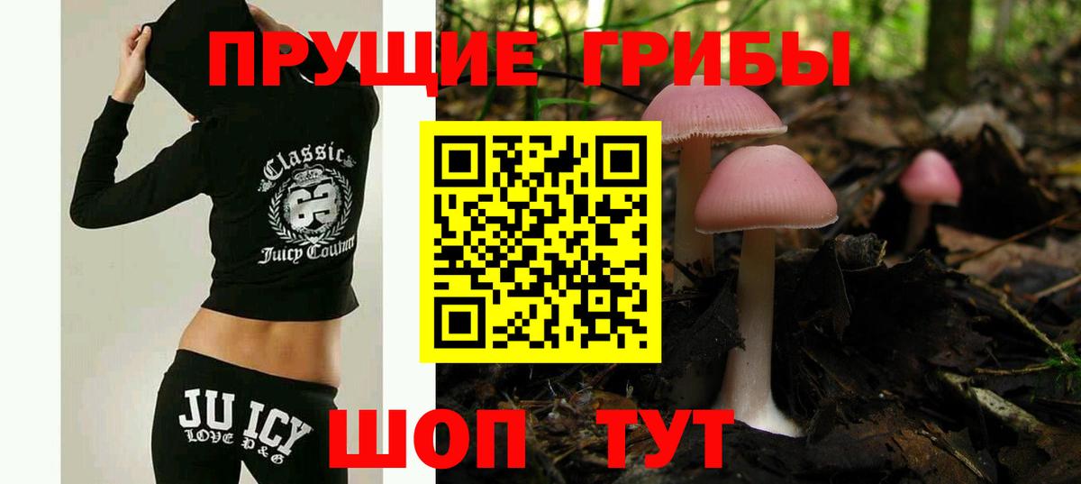 Псилоцибиновые грибы GOLDEN TEACHER Кизляр
